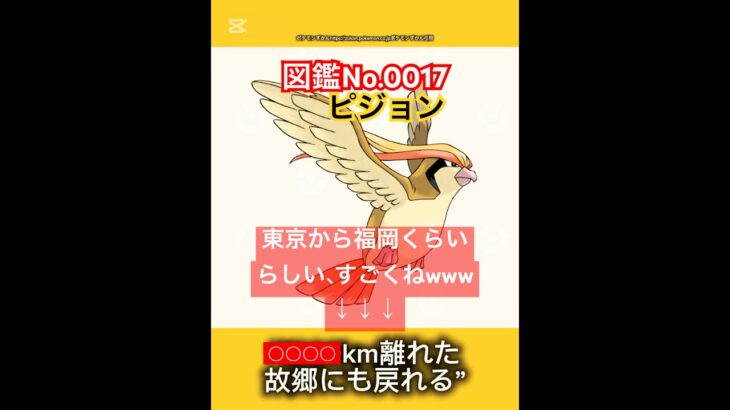 ポケモン雑学【ピジョン】#ポケモン #pokemon #pokémon #ポケポケ #ポケモンgo   #ポケモン雑学 #ポケモンカード #ポケモンsv #anime  #japan #ピジョン #鳥
