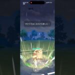 獣先輩なオオタチ#shorts #gbl #goバトルリーグ #gobattleleague #ポケモンgo #pokemongo