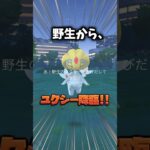 #shorts #ポケモンgo  野生からユクシー降臨!!!!