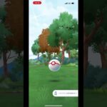 レジワロス#shorts #short #ポケモンgo #レジギガス #ポケモン