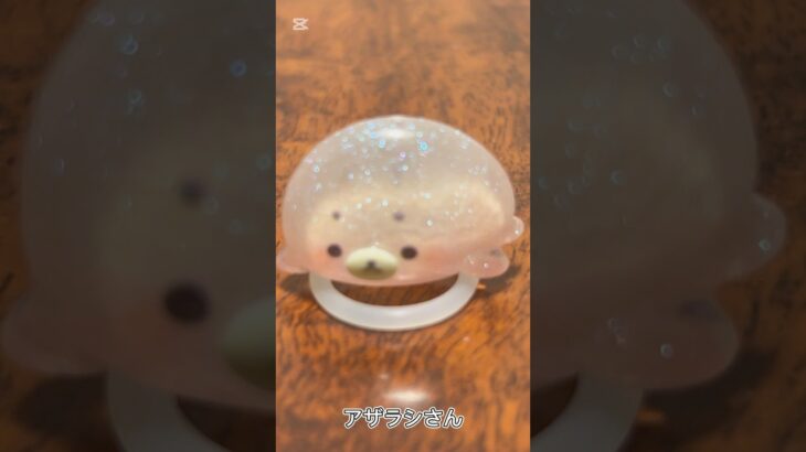 【ガチャ替え歌2】水族館の人気者アザラシは可愛いよぬ＃shorts