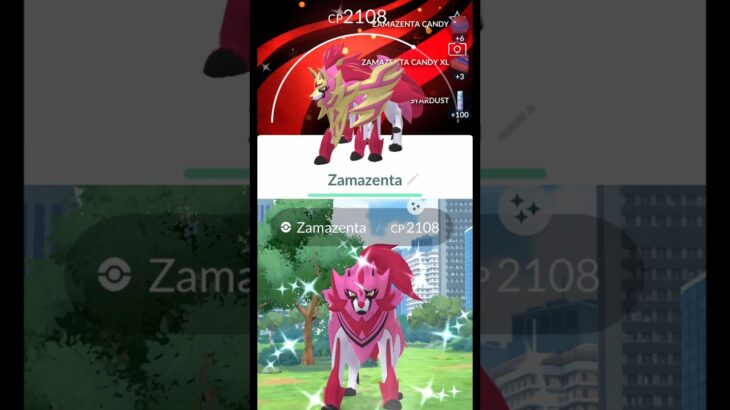 Finally I Got✨️Shiny Background Crown Zamazenta Raid in Pokemon Go