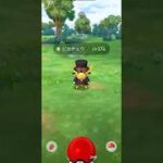 【ポケモンGO】 ピカチュウ（赤アクセント枠・通常色） 捕獲動画！！