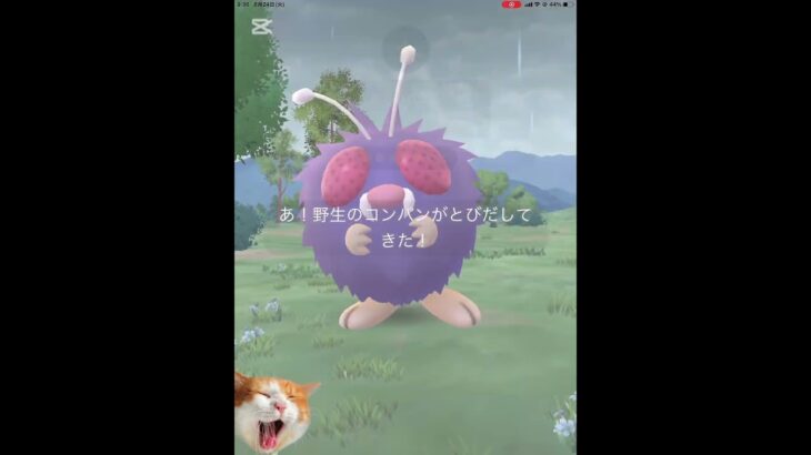 学校でポケ活！　「登校前に」#ポケモンGO