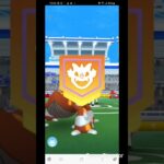 ポケモンGO ザシアン 2戦目 色違いからの背景付き GO Fest フェス レイド エナジー 背景  人数 討伐 #pokemon #ポケモン #goフェス  #pokemongo #ポケgo