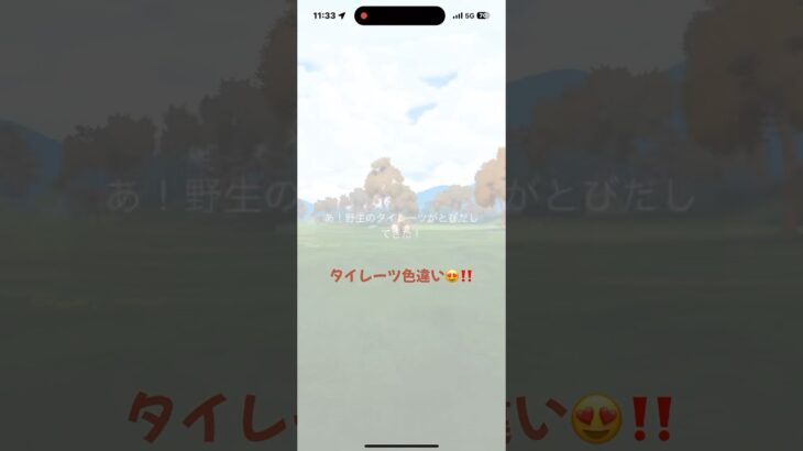 タイレーツ 色違い❤️😍‼️ 軍隊行進曲だあー‼️ ポケモンGO