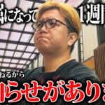 フリーになった事でお知らせがございます【ポケモンGO】