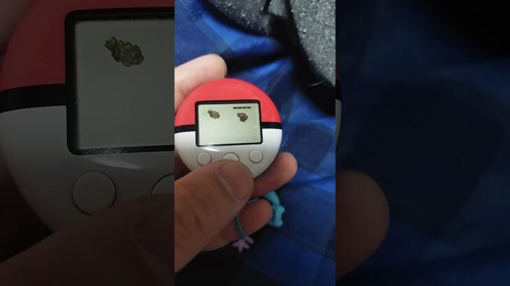 これが俺のポケモンGOだ！