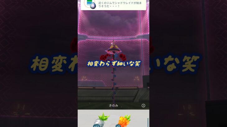 みずタイプ最強アタッカーをゲットする！！＃ポケモン？GO＃キョダイマックス＃インテレオン＃マックスレイド