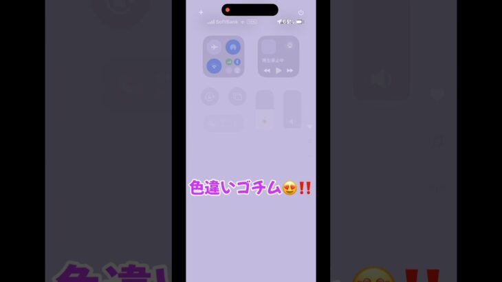 出ました‼️色違いゴチム😍‼️ ポケモンGO