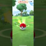 【難易度中】ワンパチ極小サークルクリティカルゲット【ポケモンGO】