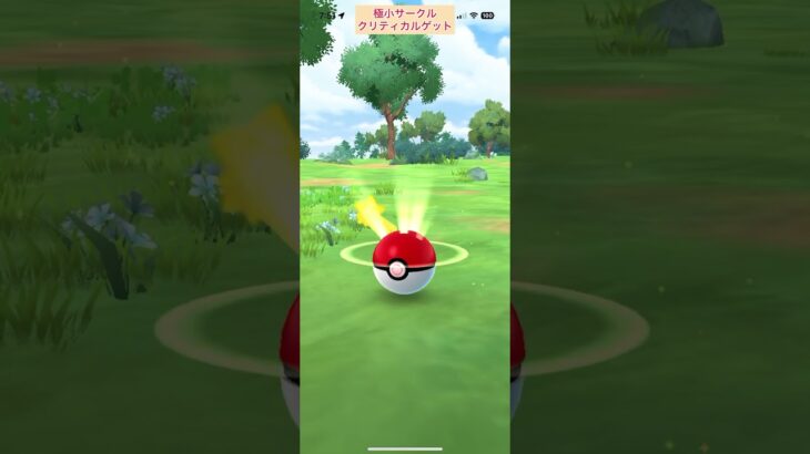 【難易度中】ワンパチ極小サークルクリティカルゲット【ポケモンGO】