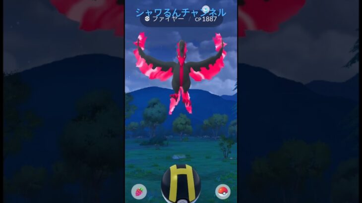 ポケモンGOでおさんぽおこうを使ったら…⁉︎ガラルファイアー出現！ #ポケモンGO #ポケモン #ガラル三鳥