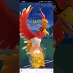 ポケモンGO 通常マスターリーグ Lカイリュー、ホウオウ、ザマゼンタ(盾の王)