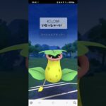 ポケモンGO 通常ハイパーリーグ Sカイリュー、ウツボット、ゼクロム