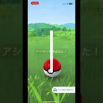 ポケモンGO fest2025色違いアシマリ