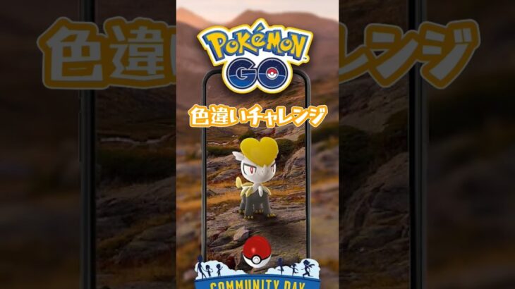 【ポケモンGO】ジャラコのコミュニティデイ、色違いチャレンジ！ #ポケモンgo #ポケモン #ポケgo #pokemongo #pokemon #色違い #shorts
