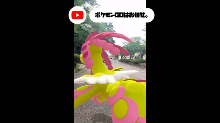 ポケモンGOはお任せ。#ポケモン #ポケモンgo #pokemon #pokemongo #pokemoncommunity #vlog