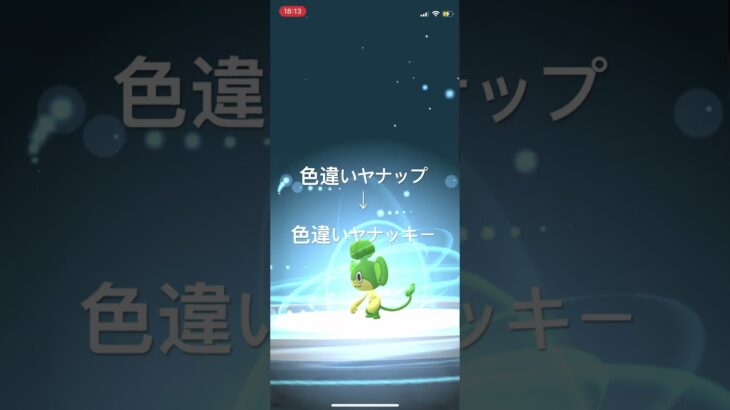 ポケモンGO 色違いヤナップ出現！イッシュの石を使って色違いヤナッキーへ進化！ #pokémon #ポケモン #ポケモンgo #pokemongo