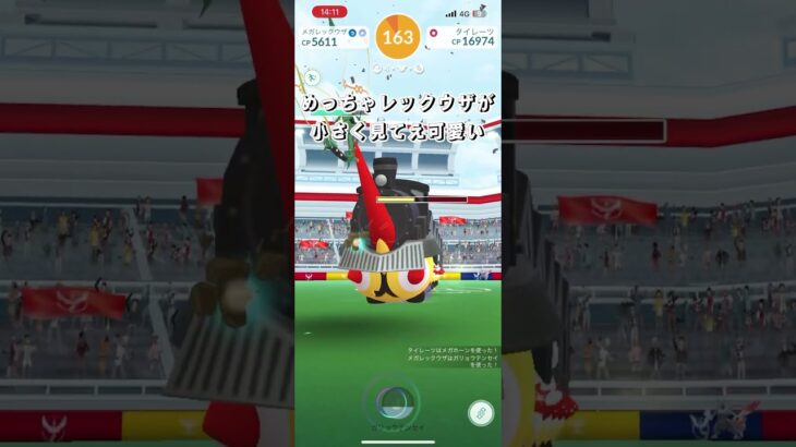ポケモンGOグローバルFestタイレーツ編#ポケモン#ポケモンGO#レイド