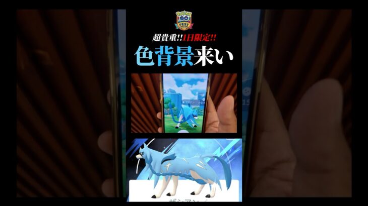 【GOFestグローバル】色違いを出すだけでも大変なのに背景までガチャすのやめてくれｗｗｗ#ポケモンgo #色背景 #ザシアン #shorts