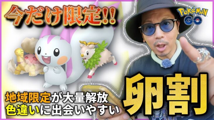 【ポケモンGO】GOフェスグローバル仕様のタマゴを割ってみた！！どのくらい色違いに出会えるのか！？一晩熟成させた無料タイチャレ報酬の中身は・・・！？【色違えパチリス】