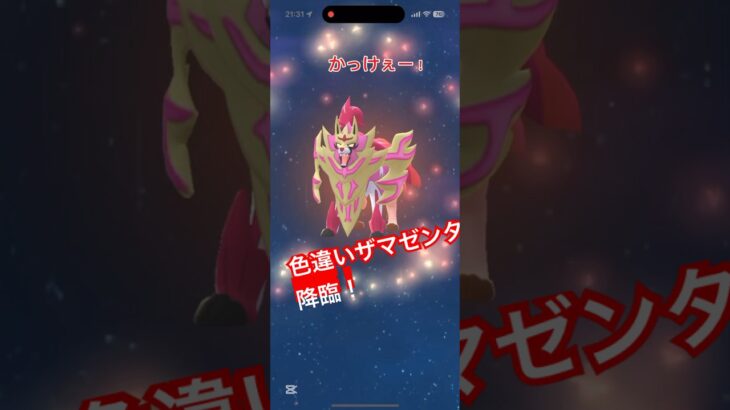 ポケモンGOで、ザマゼンタのレイドをやりました！なんと、色違いのまさかの個体値ー！個体値に注目！＃ポケモンGO＃ザマゼンタ