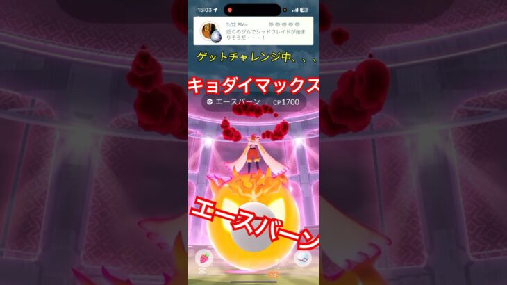 ポケモンGOでキョダイマックスエースバーンレイドやってみた！＃ポケモンGO＃エースバーン