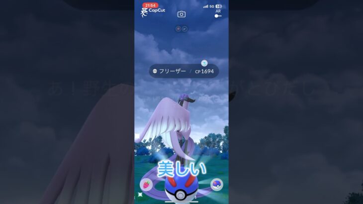 🔥ネットオリパを卒業した男の、次なるステージはポケモンGO🔥リアルの街が、オリパみたいに輝いて見えた…。#ポケモンGO #ポケ活 #リアルガチャ #Shorts #断ち継続中#ガラルフリーザー