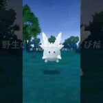 【ポケモンGO】No.222：サニーゴ（ガラルのすがた）☆ゲットタイム動画‼️@arata.channel .Japan.Jun2025 #ポケモンgo #あーたん #shorts