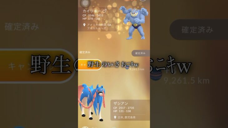 【ポケモンGO】キョダイマックスカイリキーをフル強化した状態でキラ交換していただきました🤤#ポケモンgo #shorts #キラ交換