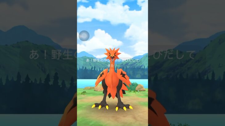 【ポケモンGO】ガラルサンダー降臨⚡️今シーズンはおさんぽおこうが熱い！！！#ポケモンgo #shorts #おさんぽおこう