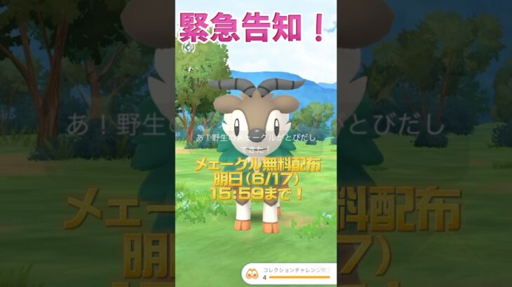 【ポケモンGO】メェークル無料配布明日まで！急いで！！#ポケモンgo #ポケモン #ボックス #shorts #short #subscribe #キラ #pokemon #無料