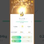 【ポケモンGO】キラのワンパチ進化させてみたら可愛すぎた！ww#ポケモンgo #ポケモン #ボックス #shorts #short #subscribe #キラ #pokemon
