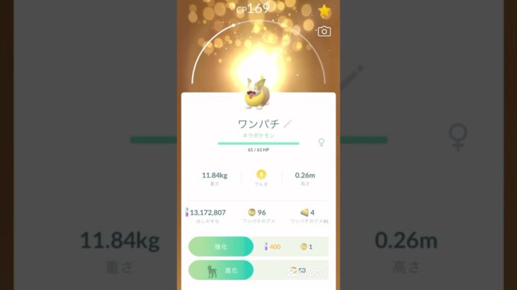 【ポケモンGO】キラのワンパチ進化させてみたら可愛すぎた！ww#ポケモンgo #ポケモン #ボックス #shorts #short #subscribe #キラ #pokemon
