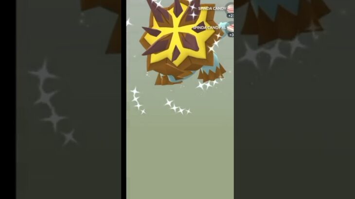 Hatch Shiny Pokemon Go FEST EGGS with me!