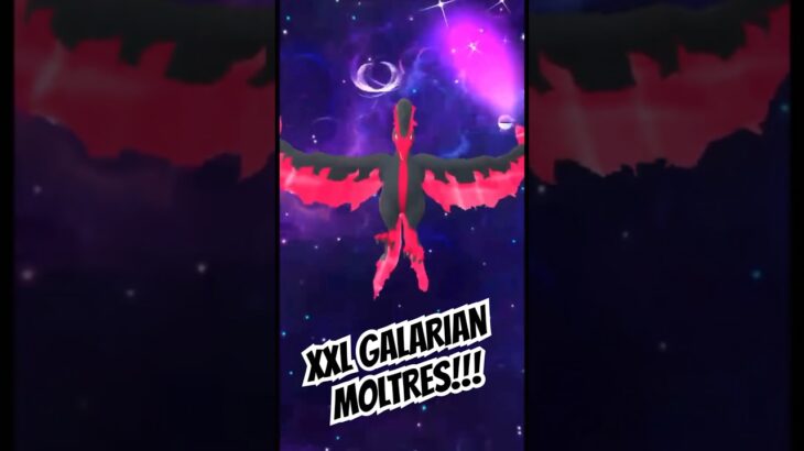 I Used My MASTERBALL On an XXL GALARIAN MOLTRES In Pokemon Go! #shorts #pokemon