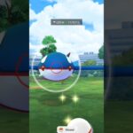 I caught KYOGRE  in a raid battel on pokemon go 😱😱#pokemongame #pokemon