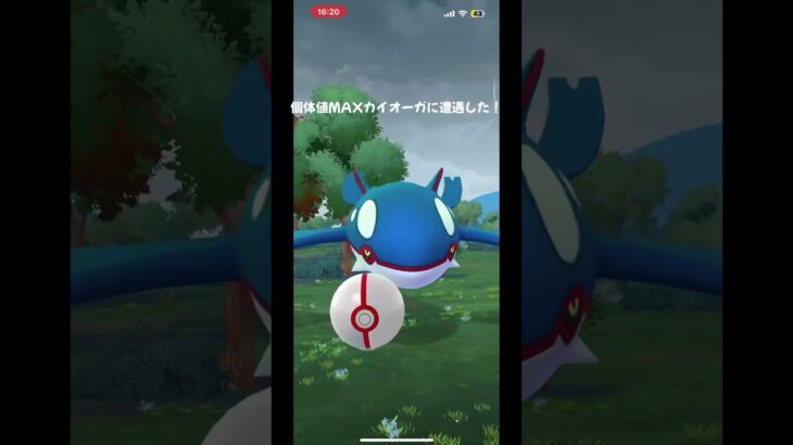 個体値MAXカイオーガはやばい#ポケモンgo #ポケモン