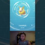 NEW Yamper CAUGHT In Pokemon Go! #shorts #pokemon
