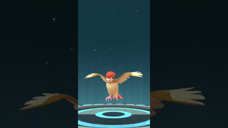 Pidgey to Pidgeotto Evolution | POKEMON GO | EVOLUTION SERIES | #pokemon #pokemongo #pokemonevolves