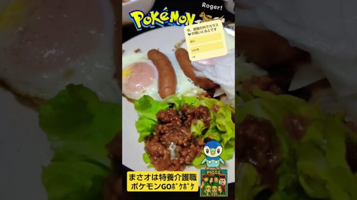 【Pokémon GOポケポケ】号泣逃逃亡！「キョダイマックスゴリランダーGET出来◯」feat.介護職おすすめ夜勤明けアイスクリームwith保護猫チャッピー君#ポケモンGO#ポケポケ#おすすめアイス