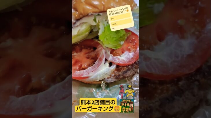 【Pokémon GOポケポケ】熊本新店情報「バーガーキング熊本インター店に行ってみた」feat.介護職夜勤明けおすすめ雪の宿with保護猫チャッピー君#ポケモンGO#ポケポケ#バーガーキング#雪の宿
