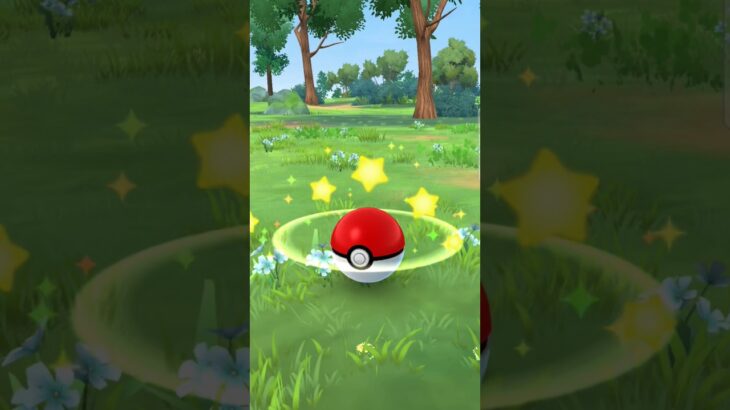 Pokemon Go Catch!     #shorts #pokemon #pokemongo #gottacatchemall
