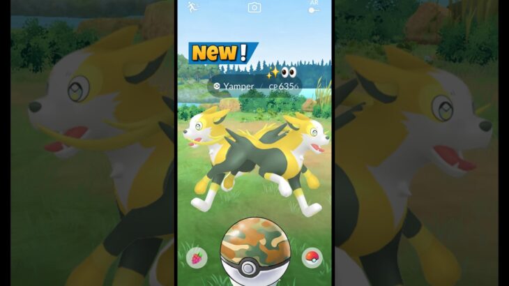 When I Got New Boltund Evolution in Pokemon GO