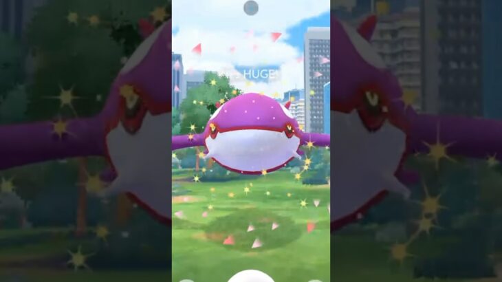 ✨XXL SHINY Kyogre CAUGHT In Pokemon Go!!!✨ #shorts #pokemon