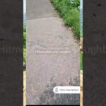 Złapałem HITMONLEE w prawdziwym świecie! 😱 Pokémon GO w trybie AR! #pokemongo #pokemon #shorts