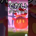 【でかいダルマッカやった】 # ポケモン #ポケモンgo #ダルマッカ