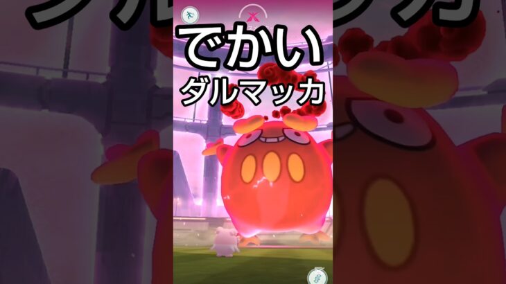 【でかいダルマッカやった】 # ポケモン #ポケモンgo #ダルマッカ