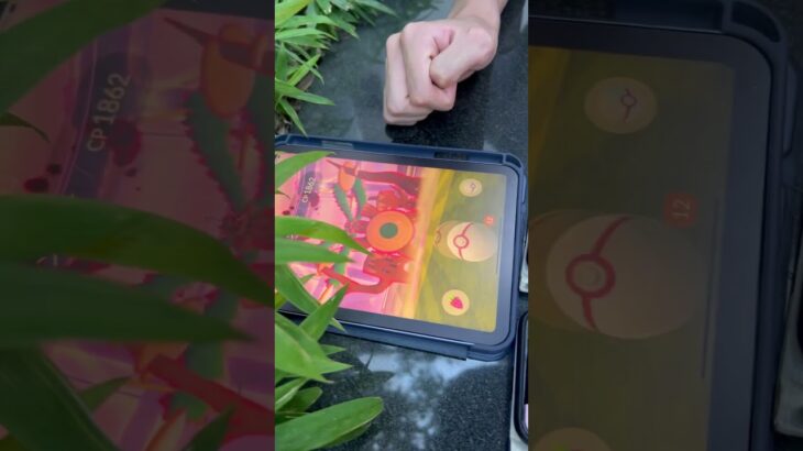 視聴者の方と巨大ゴリさんしてきたよ！#ポケモンgo
